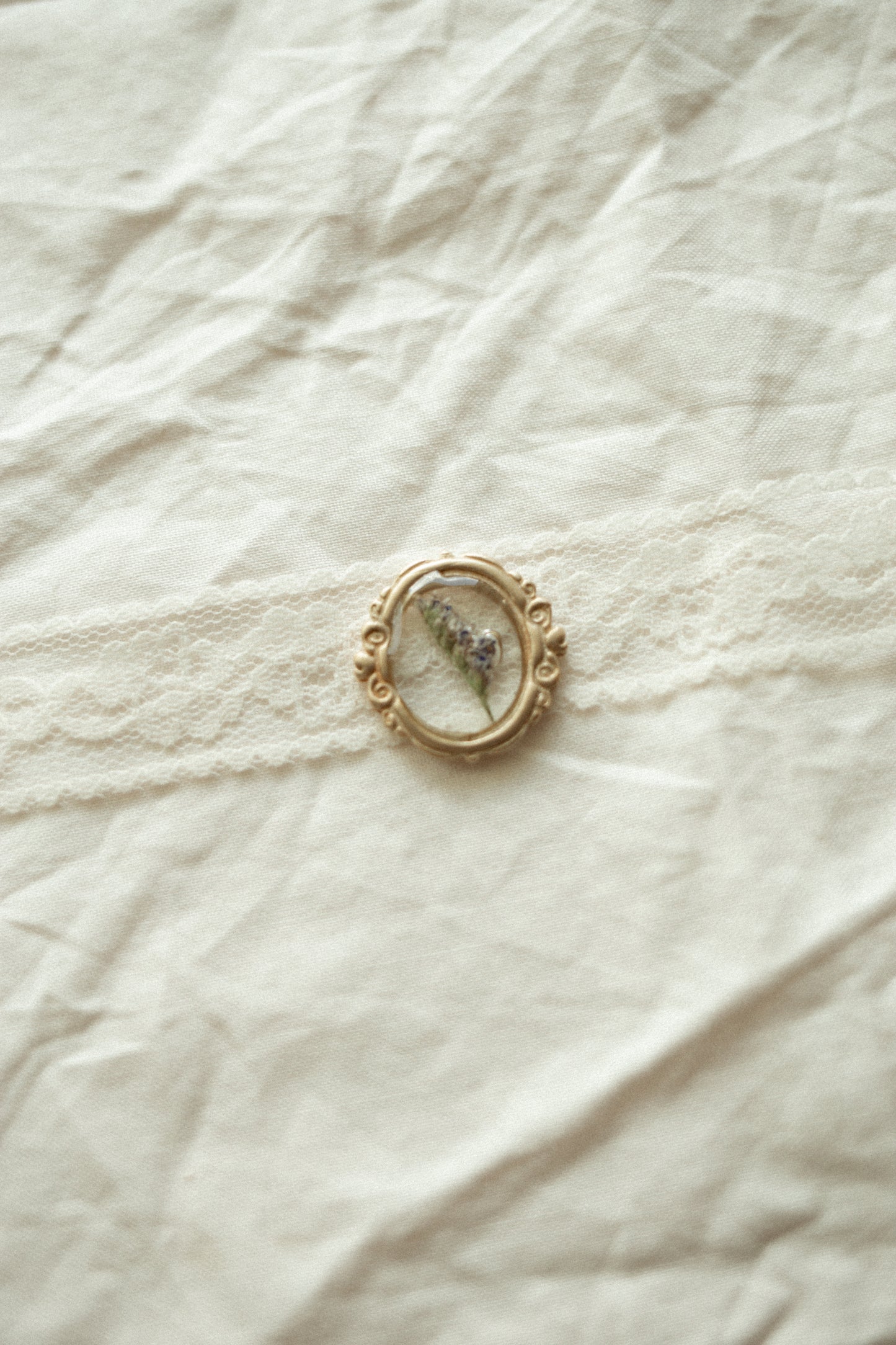 Antique pressed flower Magnets